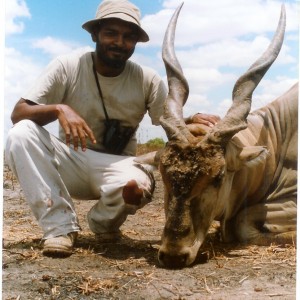 East African Eland