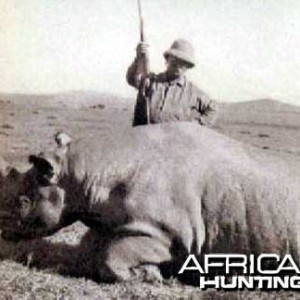 Hunting Black Rhino