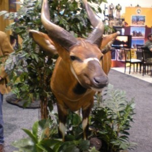 Taxidermy Bongo