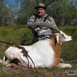 Bowhunting Scimitar Horned Oryx