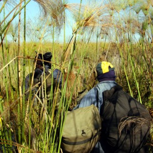 Hunting Zambia