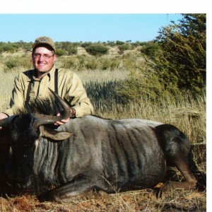 Blue Wildebeest Namibia