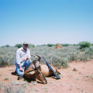 RED  HARTEBEEST  2007    N.W. PROVINCE