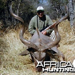 Greater Kudu Hunting