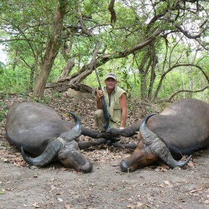 Northwestern Buffalo