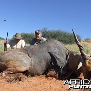 Cape Eland