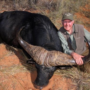 Big Buffalo hunted in Namibia on the Waterberg Plateau