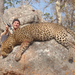 Hunting Leopard