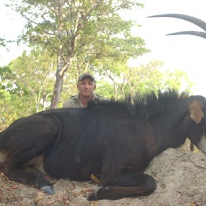 45" sable