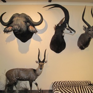 Trophy Room