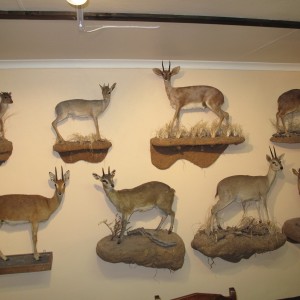 Trophy Room