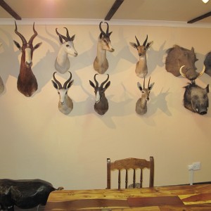 Trophy Room