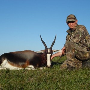 Bontebok