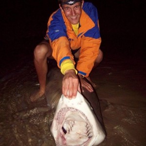 Shark fishing in and around Port Elizabeth South Africa