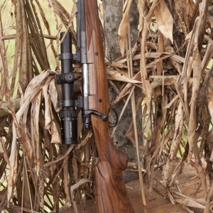 Winchester Model 70 in .375 H&H