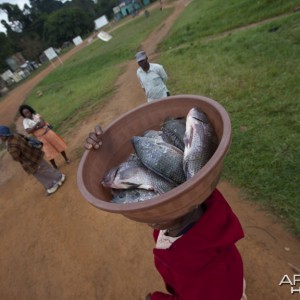 Fish on head, Uganda