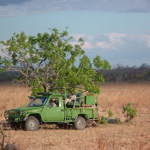 Baiting for dangerous game hunting in Tanzania