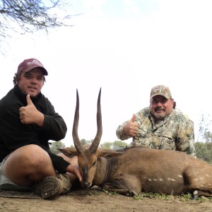 Limpopo Bushbuck;2010