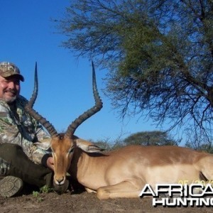 Impala ram taken in the Limpopo Province of South Africa
