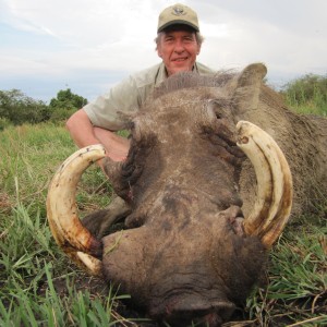Hunting Warthog in Uganda