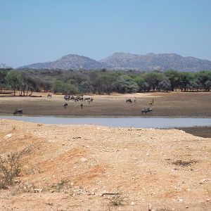 Hunting in Namibia