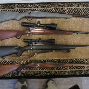 Hunting Rifles