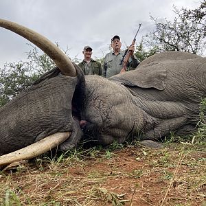 South Africa Hunting Elephant