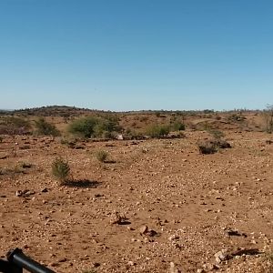 Hunting in Namibia