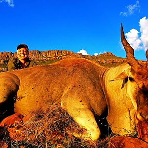 South Africa Hunting Eland