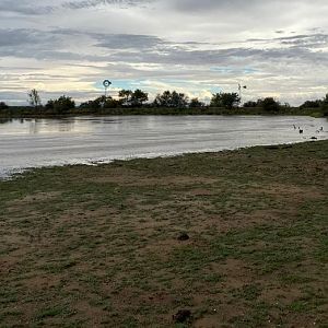 Namibia Raining