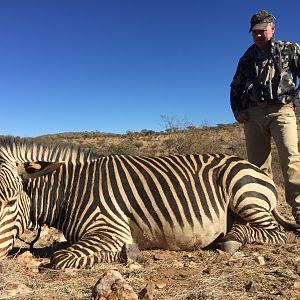 Hunt Hartmann's Mountain Zebra in Namibia