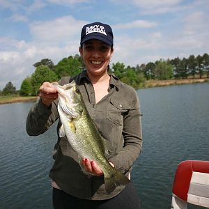 Alabama USA Fishing Bass