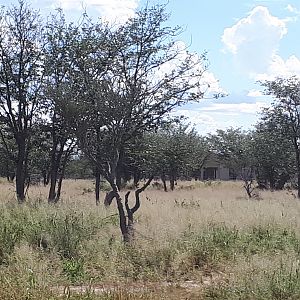 Namibia Hunting Area