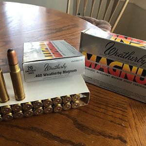 Custom Load - .460 Weatherby Magnum Ammunition