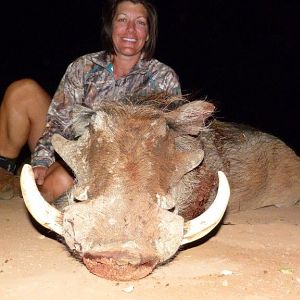 South Africa Hunt Warthog