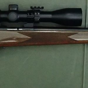 Weatherby Mark XXII 17HMR Rifle