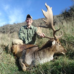 New Zealand Hunt Fallow Deer