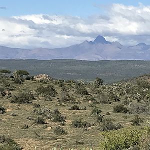 South Africa Hunting Area