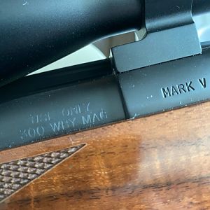 Mark V 300 Weatherby Sporter Rifle