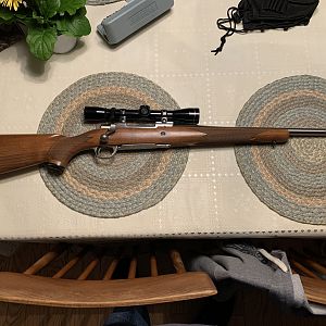 Ruger 308 Rifle