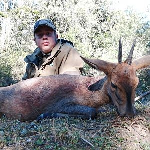 South Africa Hunt Duiker