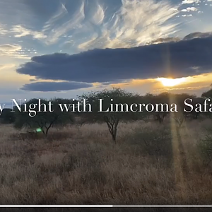 Friday Night with Limcroma Safaris