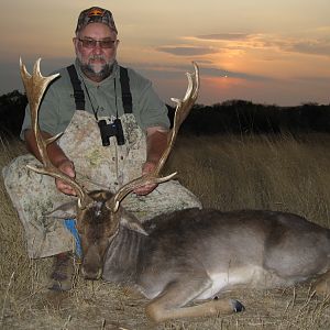 South Africa Hunting Fallow Deer