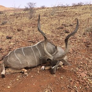 Kudu Hunting Namibia