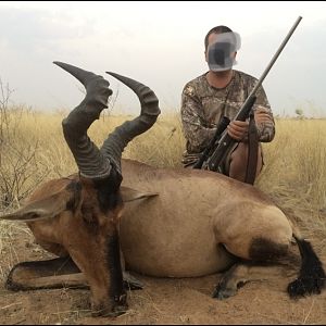 Hunting Red Hartebeest in Namibia