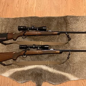 Ruger 275 Rigby Rifle & My 6.5x55 Rifle