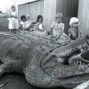 Crocodile Hunting Australia