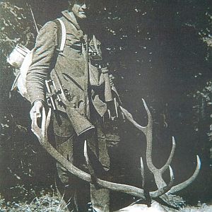 Hunt Carpathian Stag in Romania