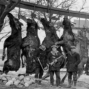 Wisconsin USA Hunt Moose & Deer in 1933