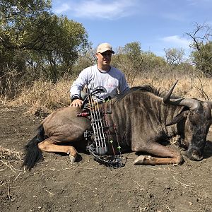 Bow Hunting Blue Wildebeest in South Africa